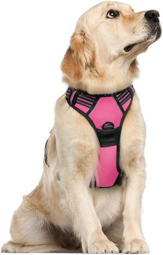 Hundegeschirr