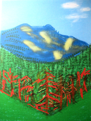 David hockney lithographie - david,
