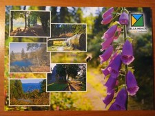 Postkarte 2750 nicht gelaufen