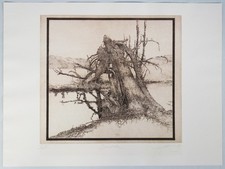 Walter Herzog. Baumbrücke