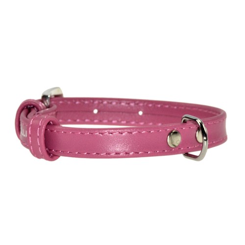 Halsband hund hundehalsband - hund,