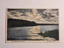 Gruss Vom Schwielow See Ferch Bei Caputh Mondscheinkarte Bessere Ansichtskarte 