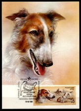 Hunde.  Russischer Windhund (Barsoi). Maximumkarte. UdSSR 1988