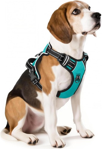 Hochwertiges hundegeschirr - hochwertiges,