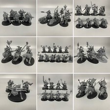 Stormcast Ewig Force Armee