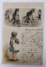 Katzen auf dem Fahrrad