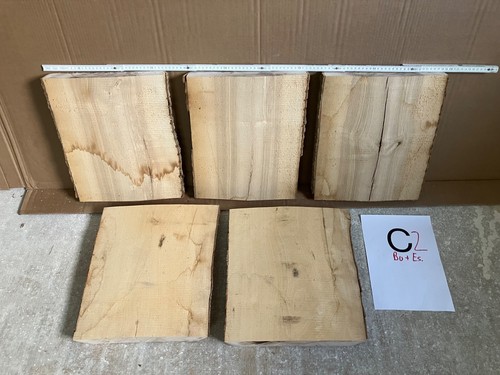 Esche st buche bohlen - esche,