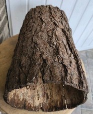 Großer Kiefer Holzstamm 48 cm