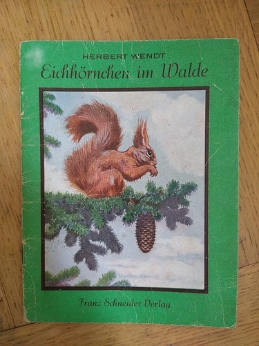 Herbert wendt eichhörnchen - eichhörnchen, im