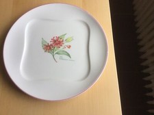 VILLEROY & BOCH Vivo Design 0702 Kuchenteller /  Teller 