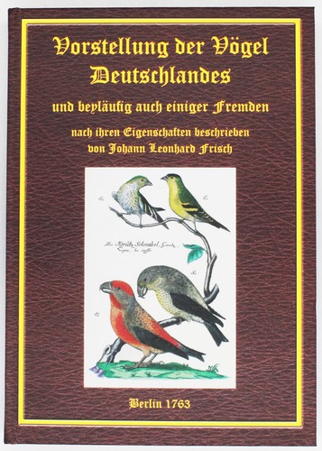 Vorstellung der vögel - vorstellung,