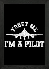 Pilot Flugzeug Luftfahrt