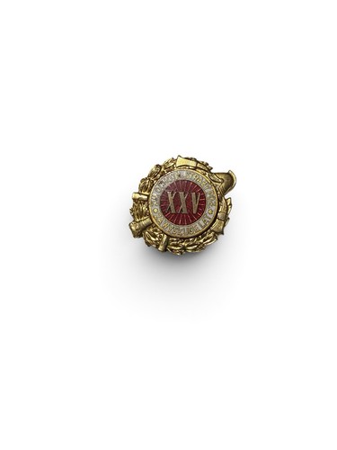 Polen medaille wysługę - polen,