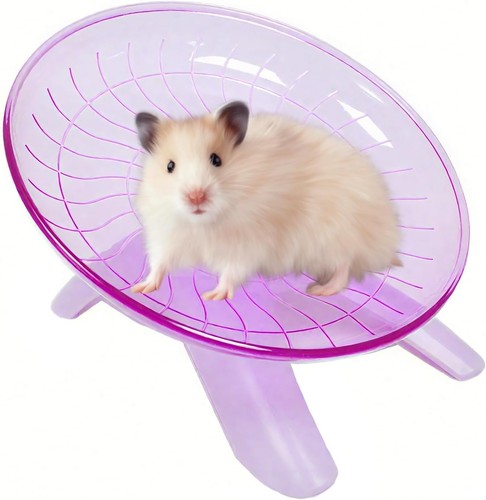 Hamster laufrad aus - laufrad,