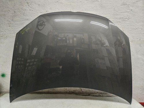 Motorhaube golf v - golf,