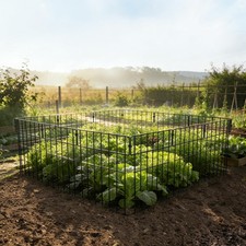 Teichzaun Zaunset Freigehege