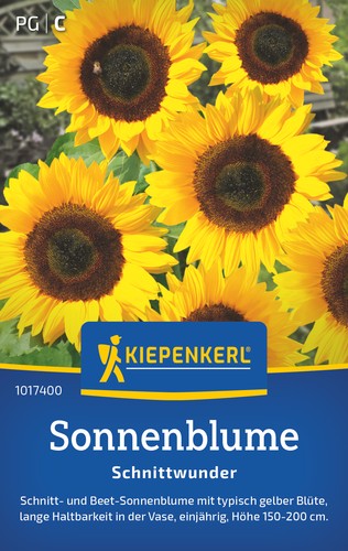 Sonnenblume schnittwunder - sonnenblume,