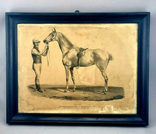 Vintage Lithographie Pferd