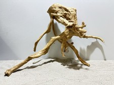 rote Moorwurzel Redwood