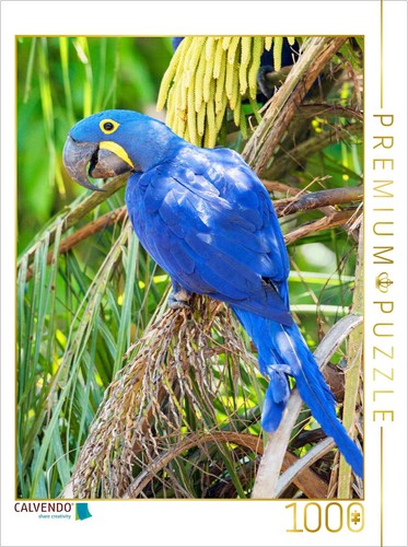 Calvendo puzzle farbenfrohe - calvendo,