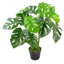 Künstliche monstera pflanze - monstera,