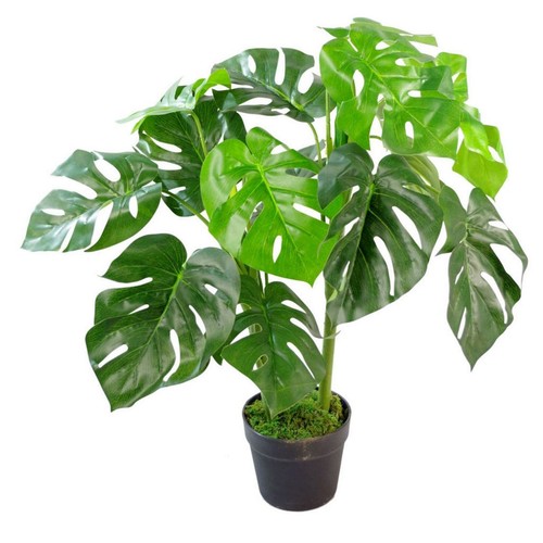 Künstliche monstera pflanze - künstliche,