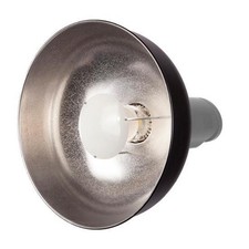 Bowens Beauty Dish neuwertiger