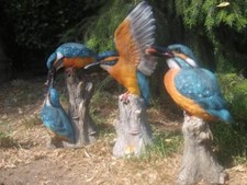 Eisvogel Deko Figur  Vogel Gartenfigur Groß Teichdeko lebensecht NEUHEIT