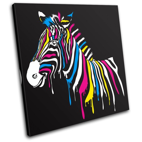 Abstract zebra animals single - zebra,