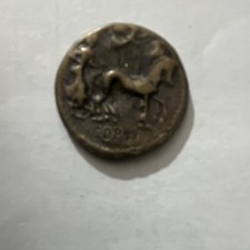 Ancient Greek Coin Horse