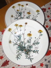 Villeroy & Boch Speiseteller