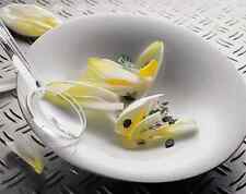 Kahla Update 1 x Pasta Grande Pastateller rund 30 cm Neuware weiß 2. Wahl