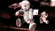 TINA echtes Mohair Teddy Bär