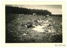 Orig. Foto englische RAF