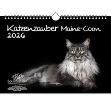 Katzenzauber Maine-Coon DIN A4