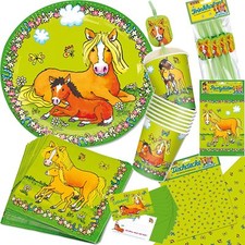 PFERDE PONY KINDERGEBURTSTAG -