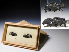 Ko-Kinko Schule Wildschwein