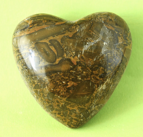 Stromatolith herz natur - ,