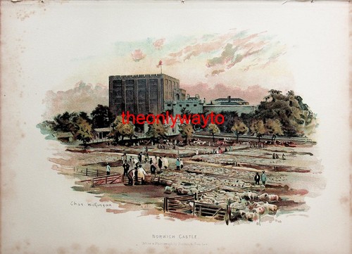 Norwich castle norfolk - castle,,