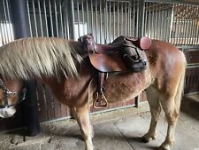 Wanderreit Satteltaschen