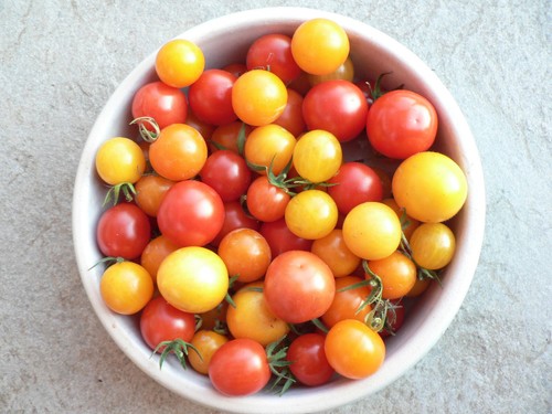 Cocktailtomaten mix rot - cocktailtomaten,