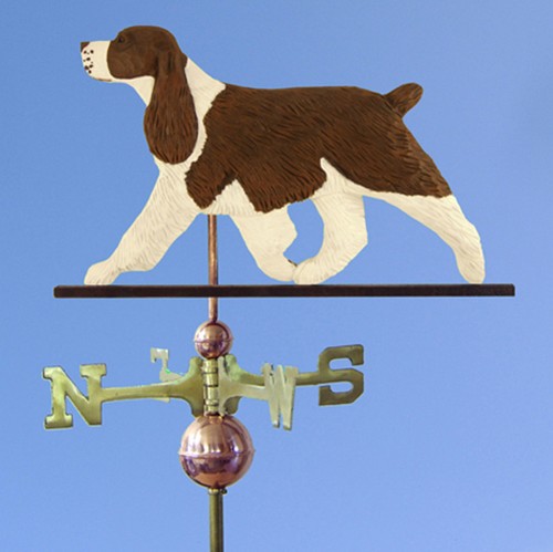 English springer spaniel - springer,