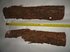 Baumrinde eicherinde eiche - baumrinde,