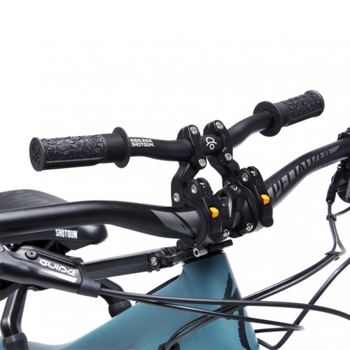 Kids ride shotgun - ride, pro