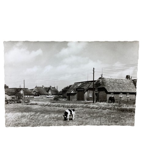 Postkarte morsum sylt klein - ak,