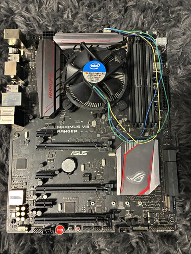 Asus maximus viii - maximus, ranger