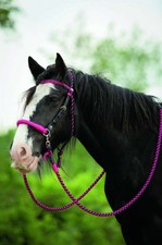 Barefoot AMBER Gebisslos 2in1