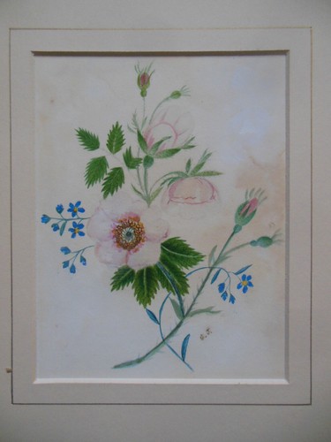 Schönes original aquarell - schönes,