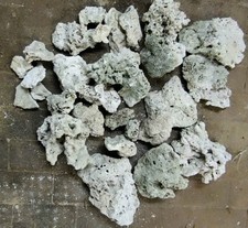 20 kg Getrocknetes Riffgestein