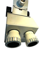 Carl zeiss stereomikroskop - zeiss,